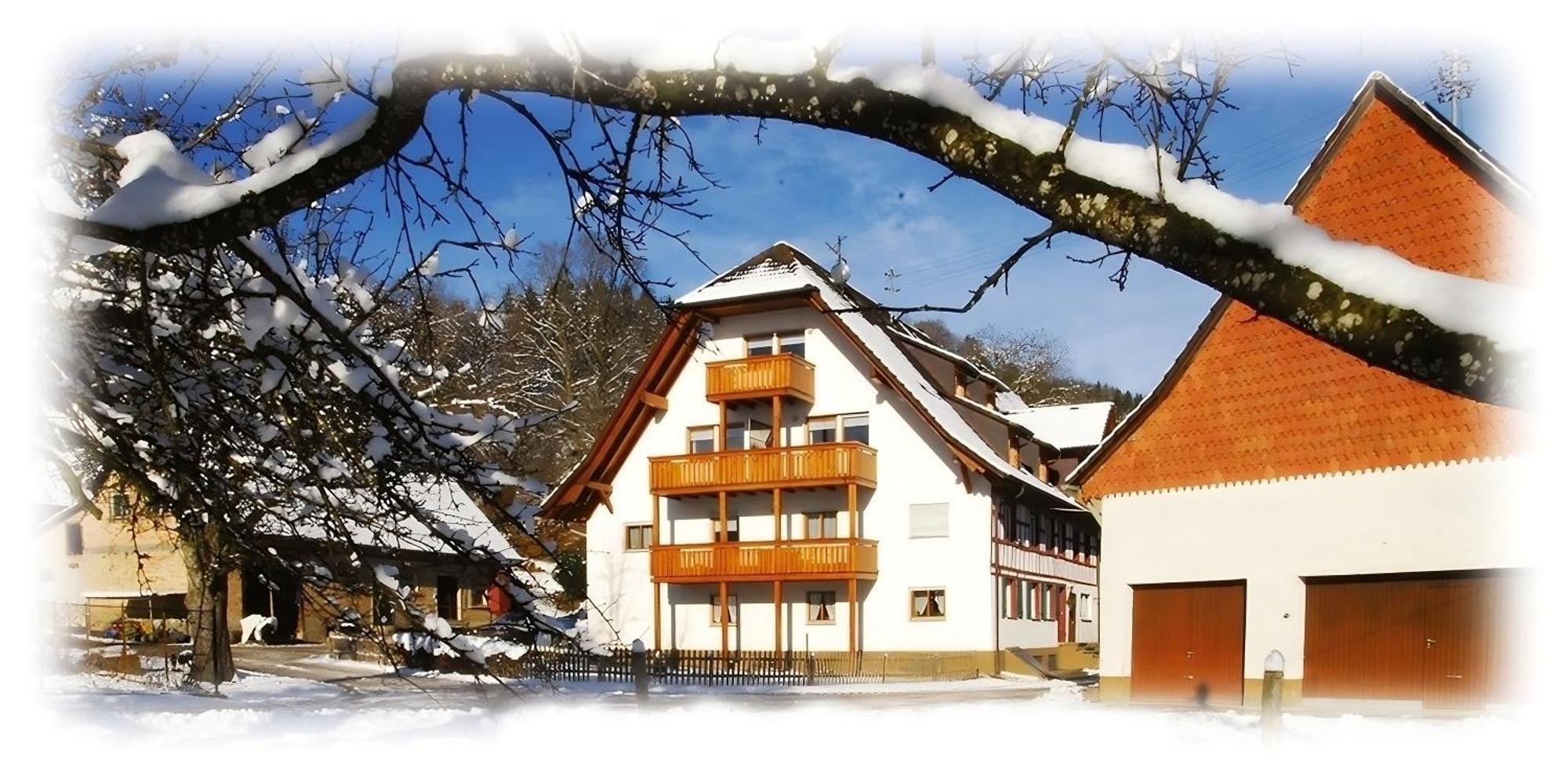 Mayer Burghoefe Owingen Екстериор снимка
