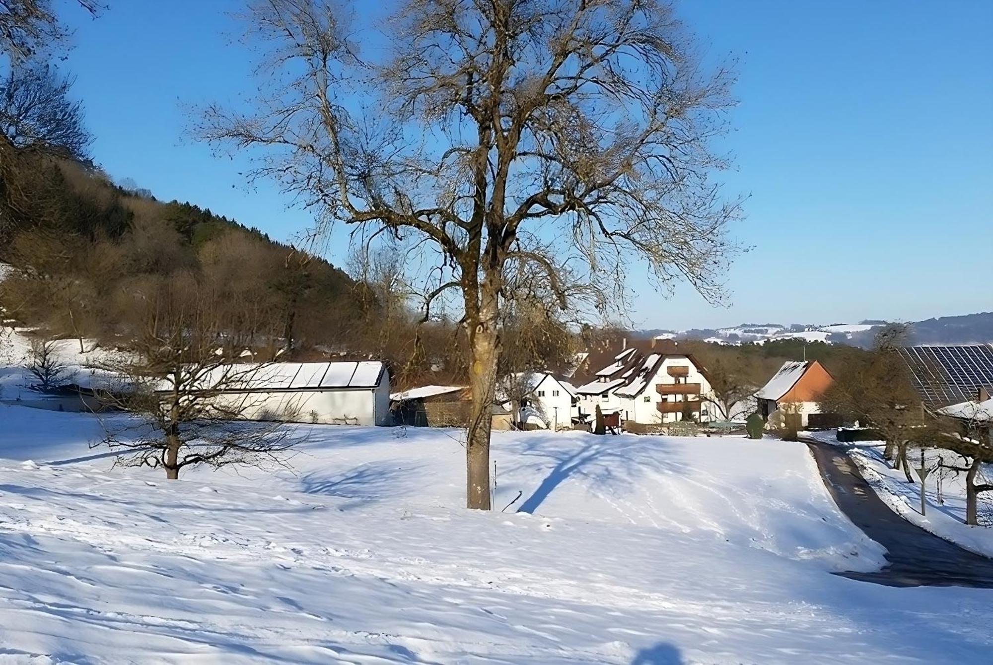 Mayer Burghoefe Owingen Екстериор снимка